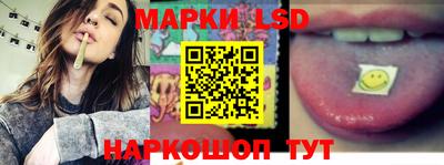 спайс Кингисепп