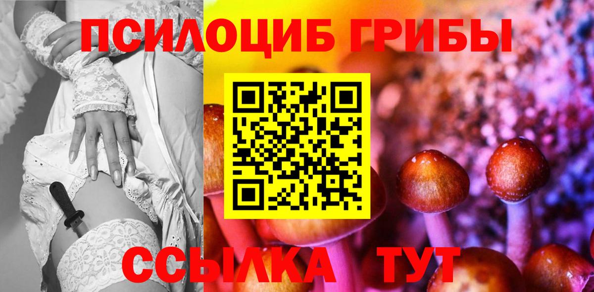 Галлюциногенные грибы Psilocybe Клинцы
