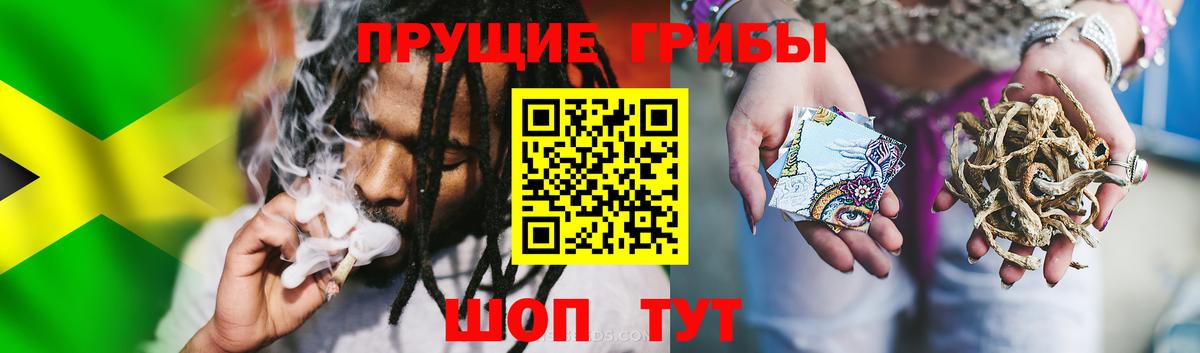 купить  сайты  Галлюциногенные грибы Psilocybine cubensis  Вход с VPN  Клинцы  Галлюциногенные грибы ЛСД 